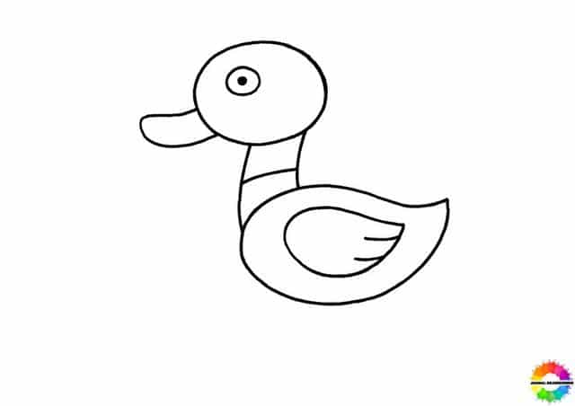 Ente zeichnen einfach - Schritt 5