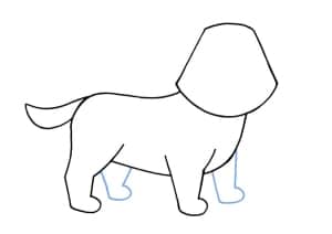 Hund zeichnen einfach - Schritt 05