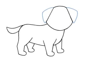 Hund zeichnen einfach - Schritt 06
