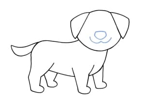 Hund zeichnen einfach - Schritt 07