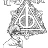 Harry Potter 13