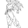 Son Goku 06