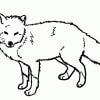 Fuchs 13