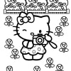 Hello Kitty 14