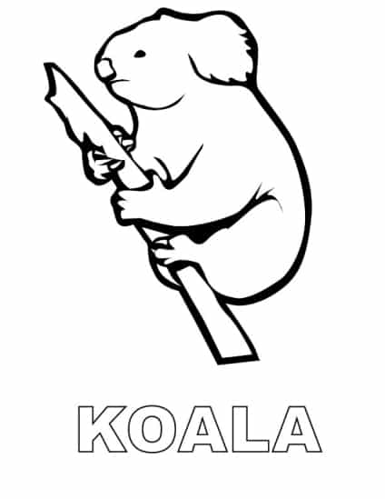 Koala ausmalbilder 10