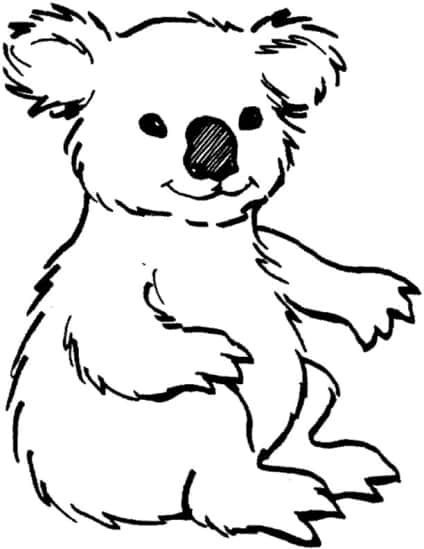 Koala ausmalbilder 13