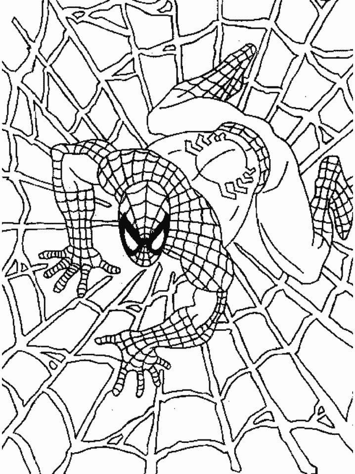Spiderman ausmalbilder 04