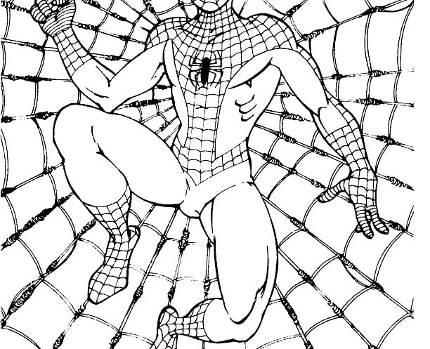 Spiderman ausmalbilder 08
