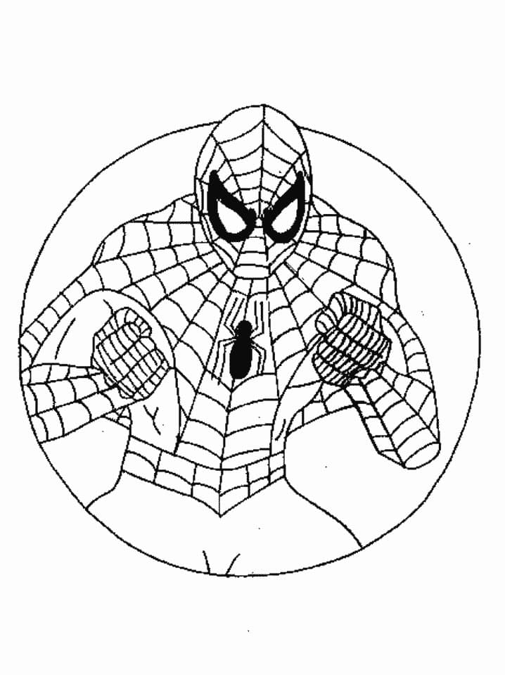 Spiderman 09