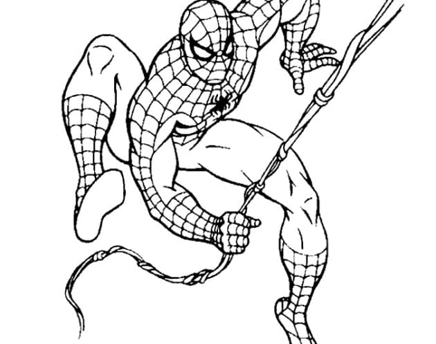 Spiderman ausmalbilder 10