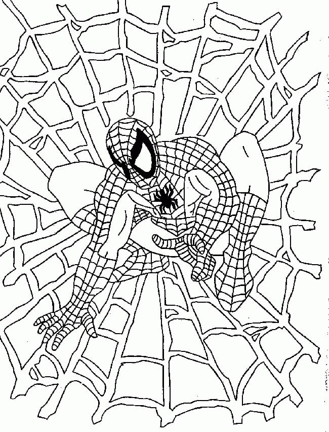 Spiderman ausmalbilder 15