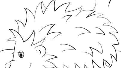 Hedgehog coloring pages free printable for kids