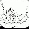 Tom & Jerry 31