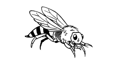 ausmalbilderkinder.de - Ausmalbilder Bienen 19