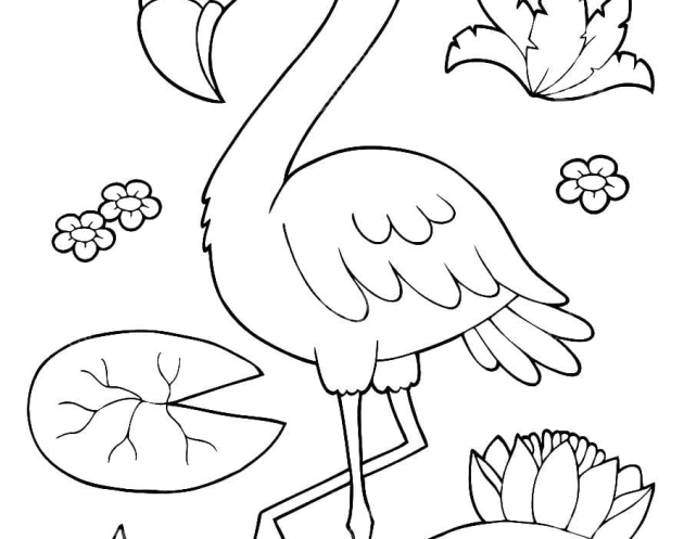 ausmalbilderkinder.de - Ausmalbilder Flamingo 02