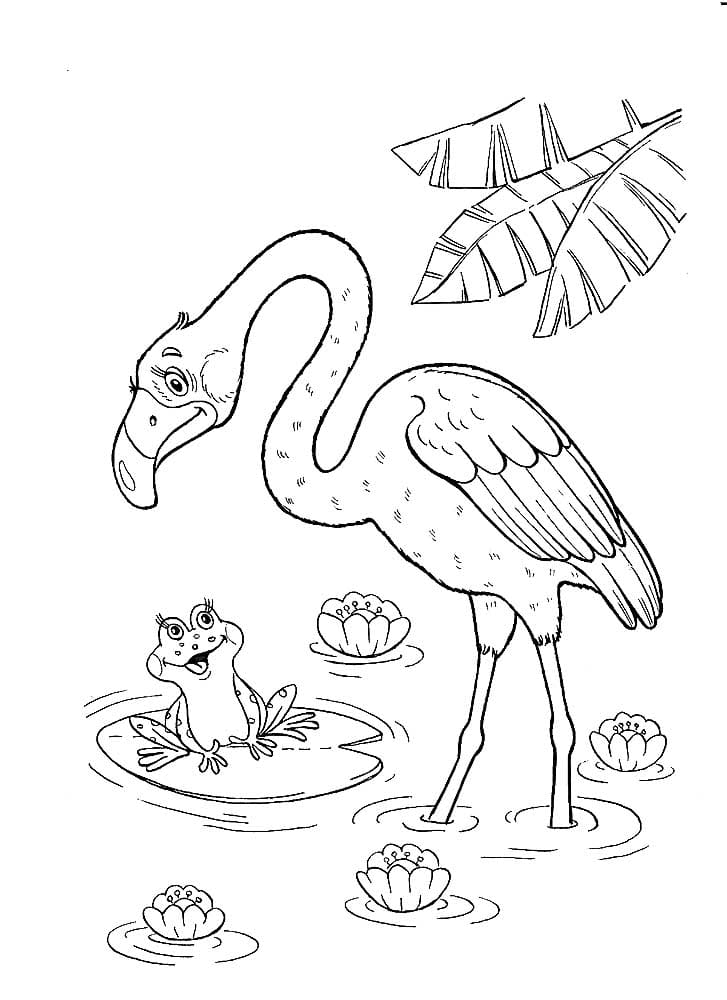 Flamingo 08
