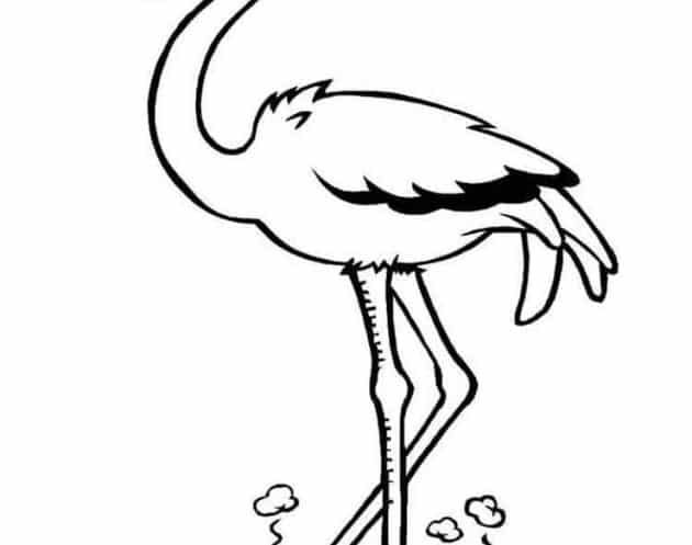 ausmalbilderkinder.de - Ausmalbilder Flamingo 10