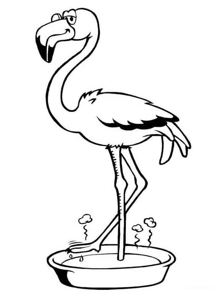 Flamingo 10
