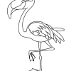 Flamingo 16