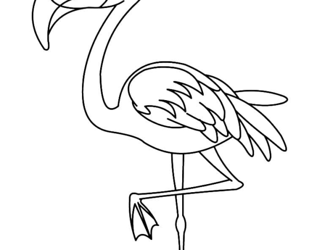 ausmalbilderkinder.de - Ausmalbilder Flamingo 16