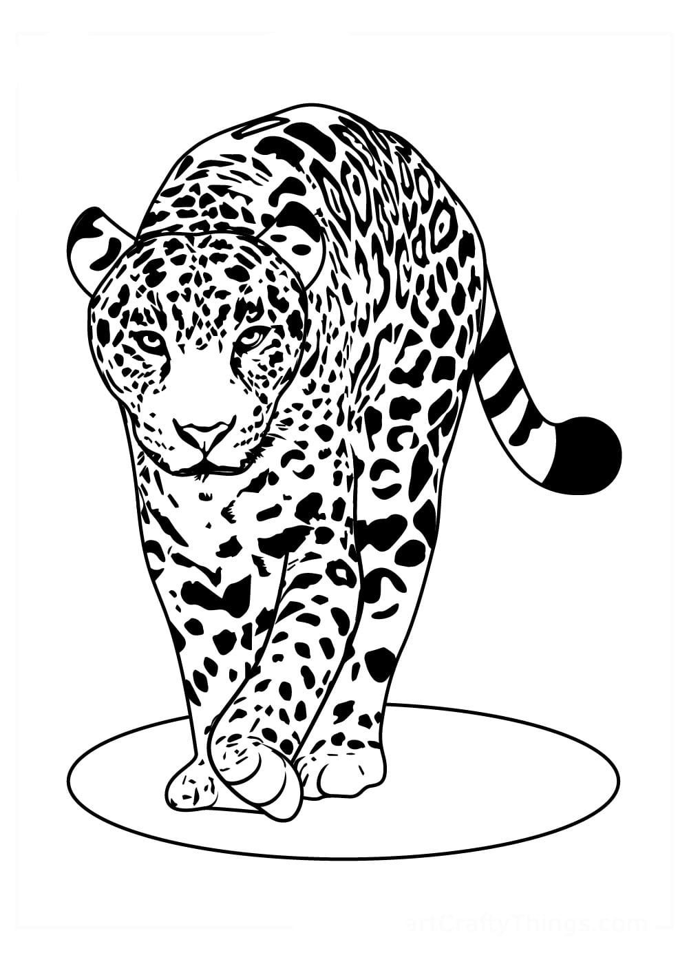 Leopard 04