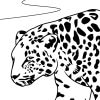Leopard 08