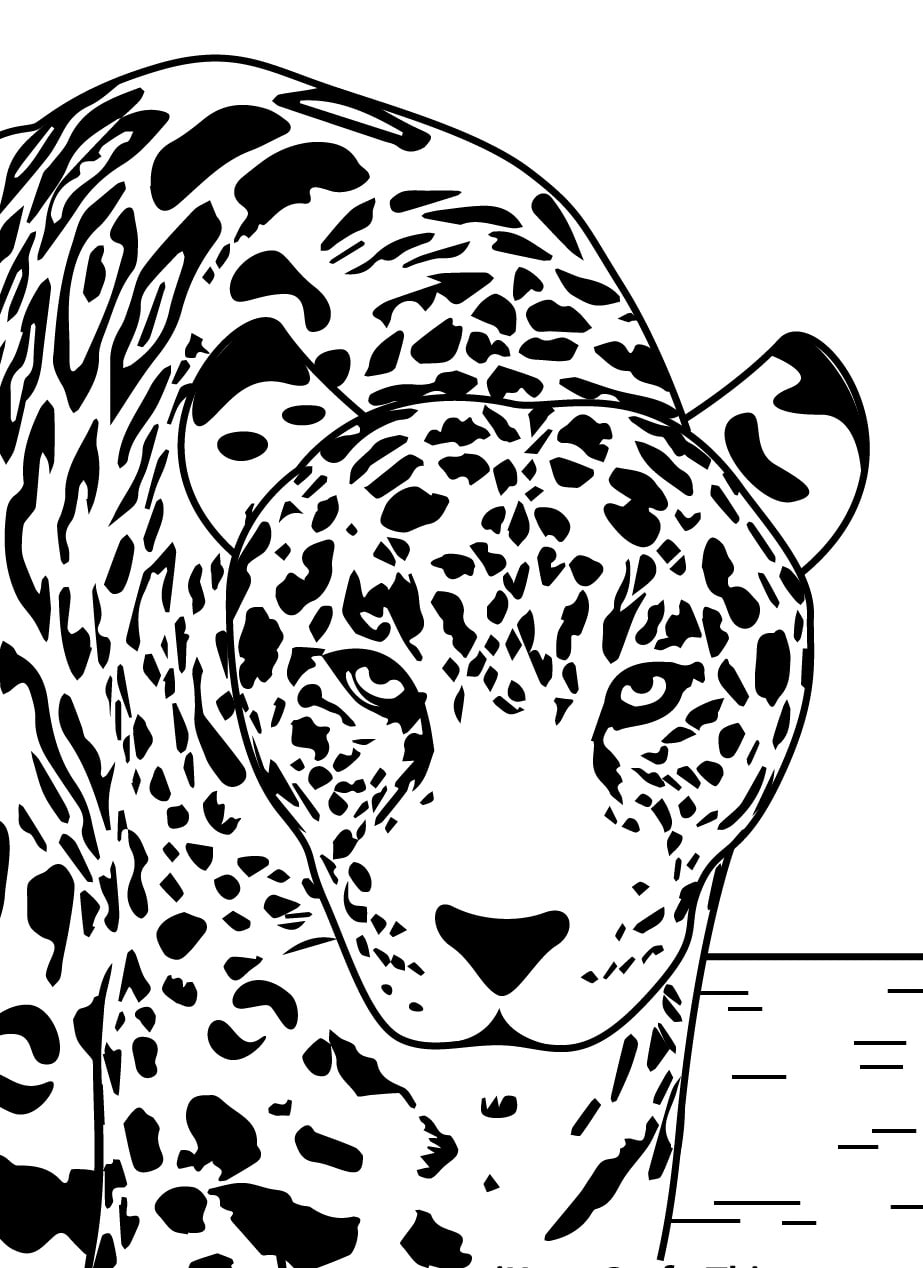 Leopard 09