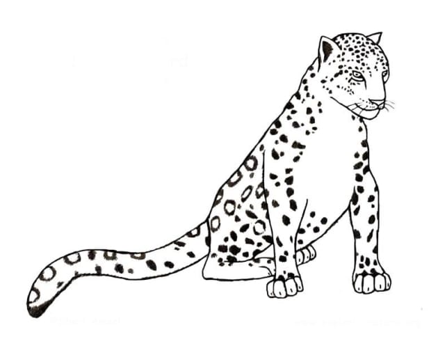 ausmalbilderkinder.de - Ausmalbilder Leopard 14