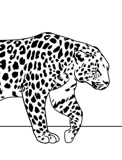 ausmalbilderkinder.de - Ausmalbilder Leopard 19