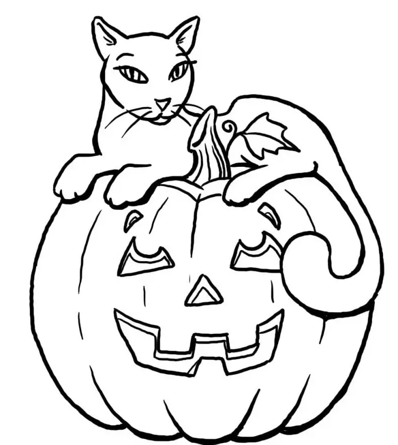 Ausmalbilder Herbst Kürbis: Kreativer Spaß für Groß und Klein!