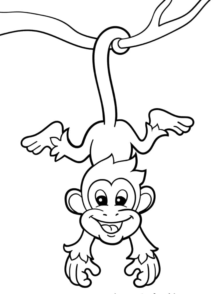  20+ Affe ausmalbilder mit vielen Aktivitäten zum Ausmalen Bildidee 