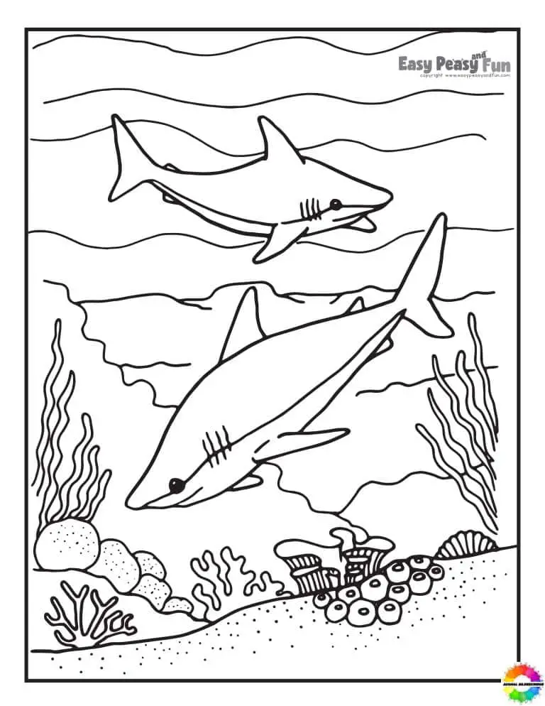 21 Haie Ausmalbilder Zum Ausdrucken Kostenlos F r Kinder 21-haie-ausmalbilder-zum-ausdrucken-kostenlos-f-r-kinder