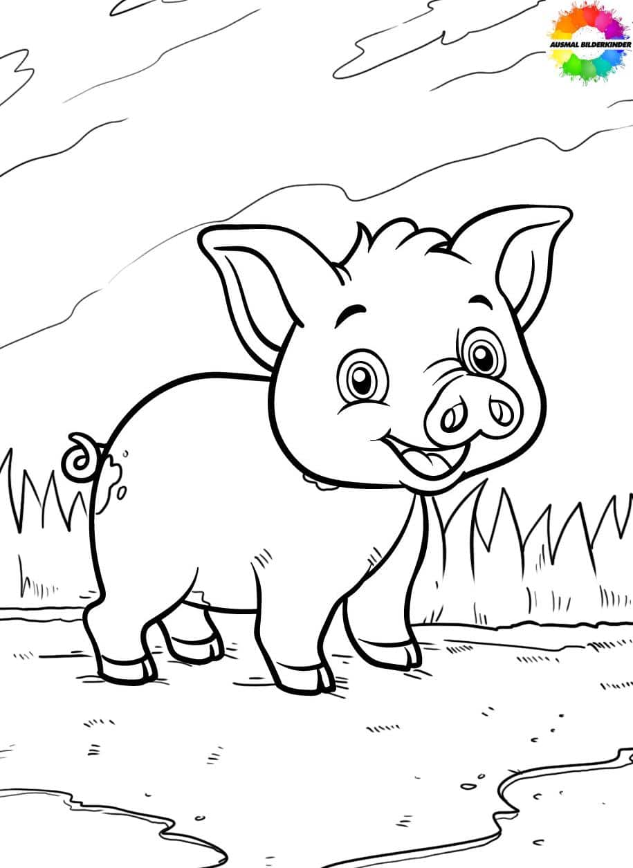 Schwein 09