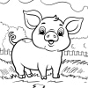 Schwein 20