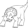 Triceratops 24
