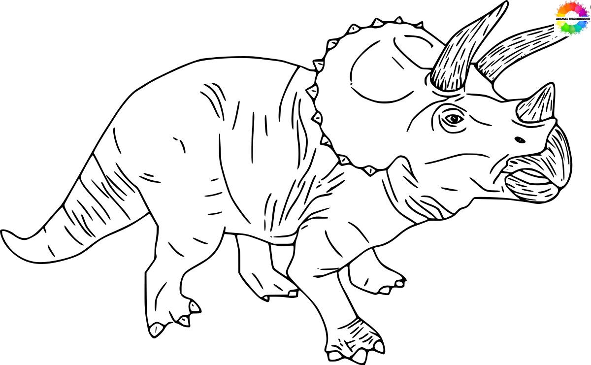 Triceratops 27