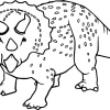 Triceratops 28