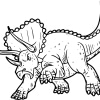 Triceratops 29