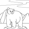 Eisbären 04