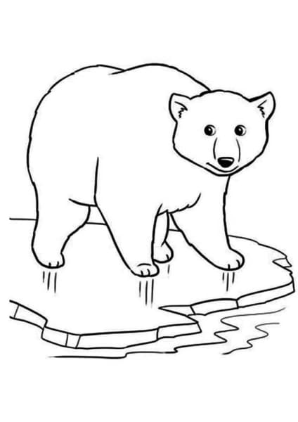 ausmalbilderkinder.de – Ausmalbilder Eisbären 12