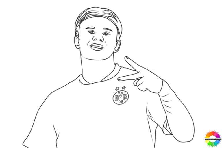 17+ Erling Haaland ausmalbilder - Berühmter Fußballspieler