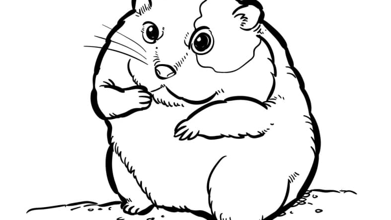 Hamster Coloring Pages Free - Print Now