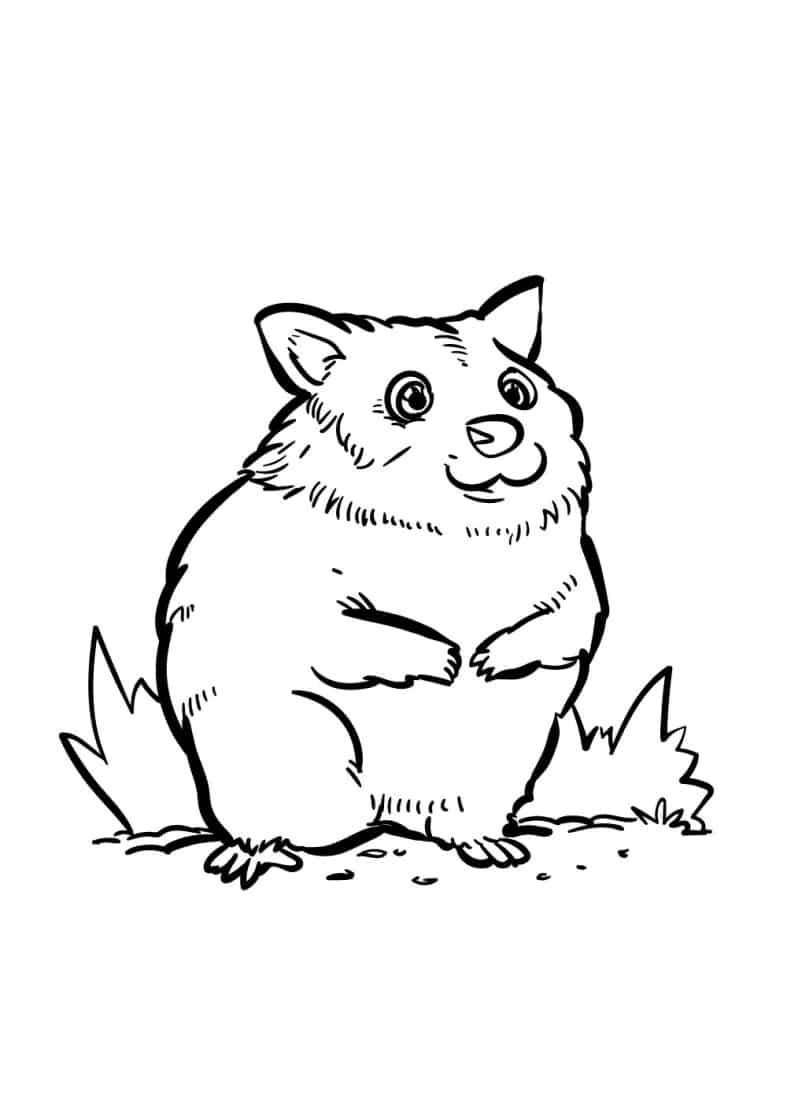 28+ Hamster coloring pages free - Print now