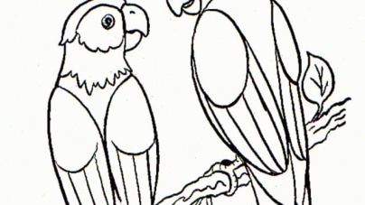 ausmalbilderkinder.de – Ausmalbilder Papagei 26