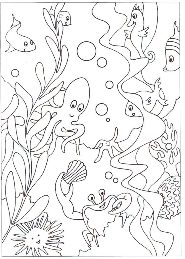 Unterwasserwelt 06