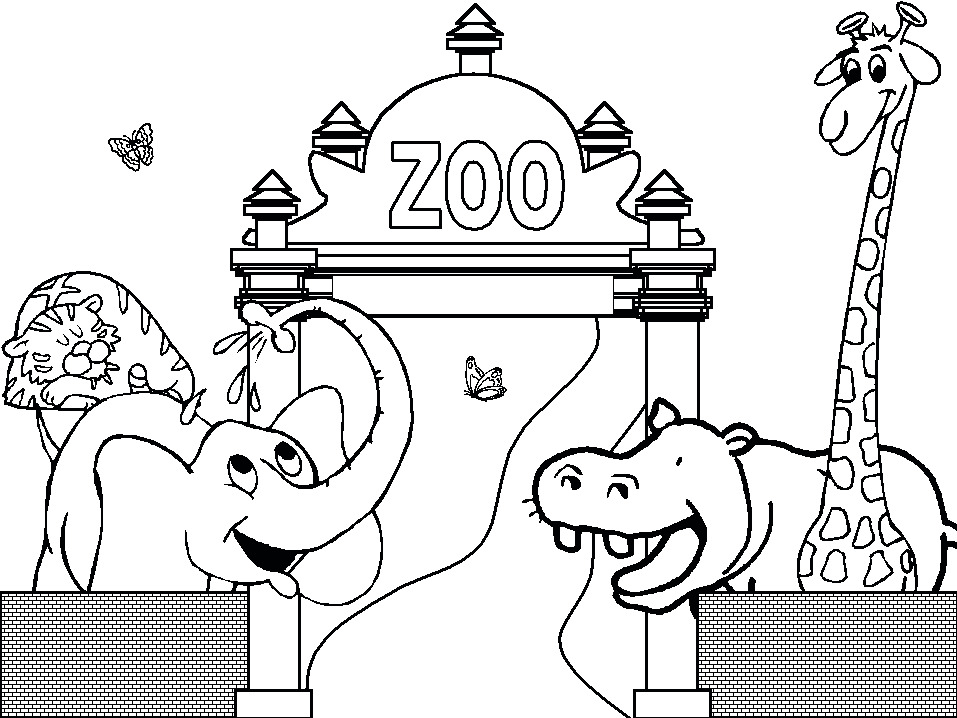 Zoo 04