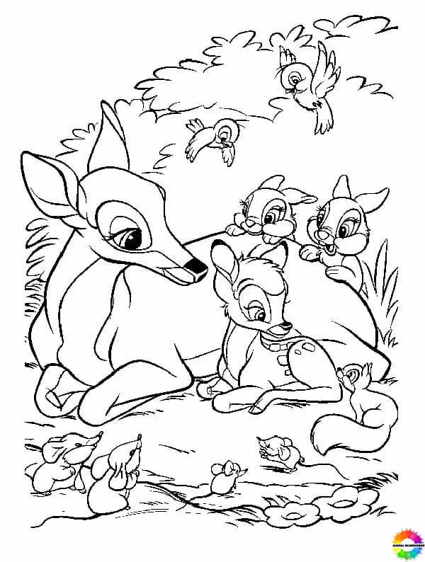 ausmalbilderkinder.de – Ausmalbilder Bambi 14