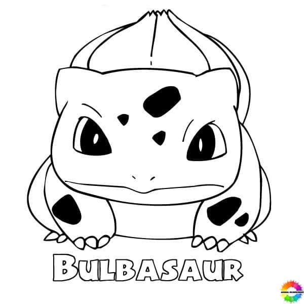 Bulbasaur 17