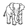 Elefant 02