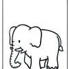 Elefant 06